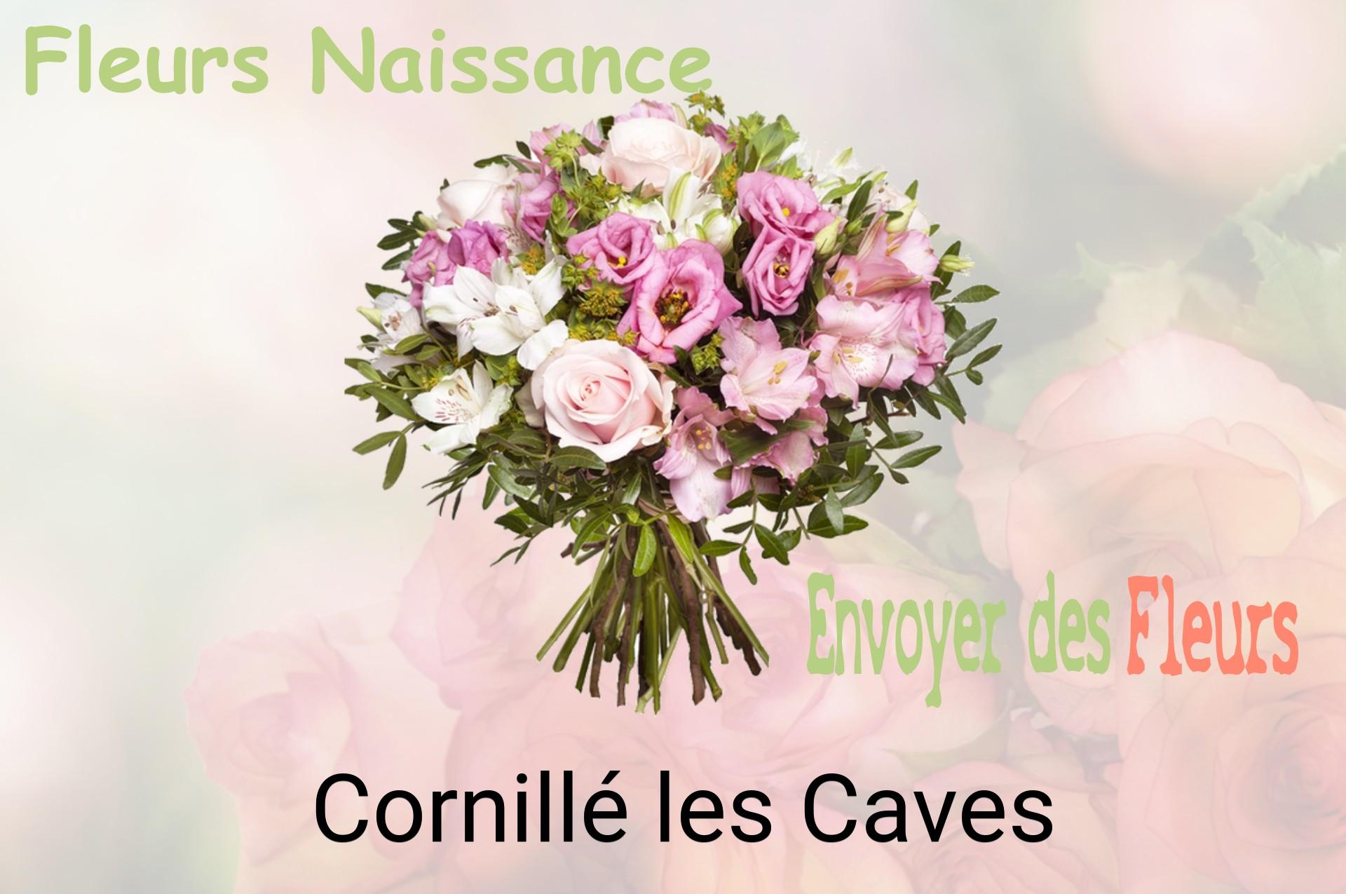 Bouquet de fleurs de naissance livré à Cornillé-les-Caves